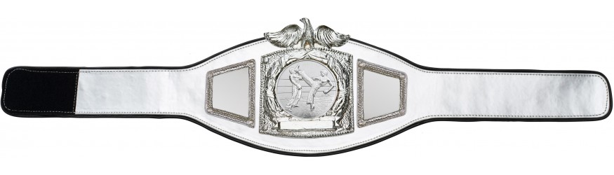 PROEAGLE KICKBOXING CHAMPIONSHIP BELT - PROEAGLE/S/KBOS - AVAILABLE IN 6+ COLOURS